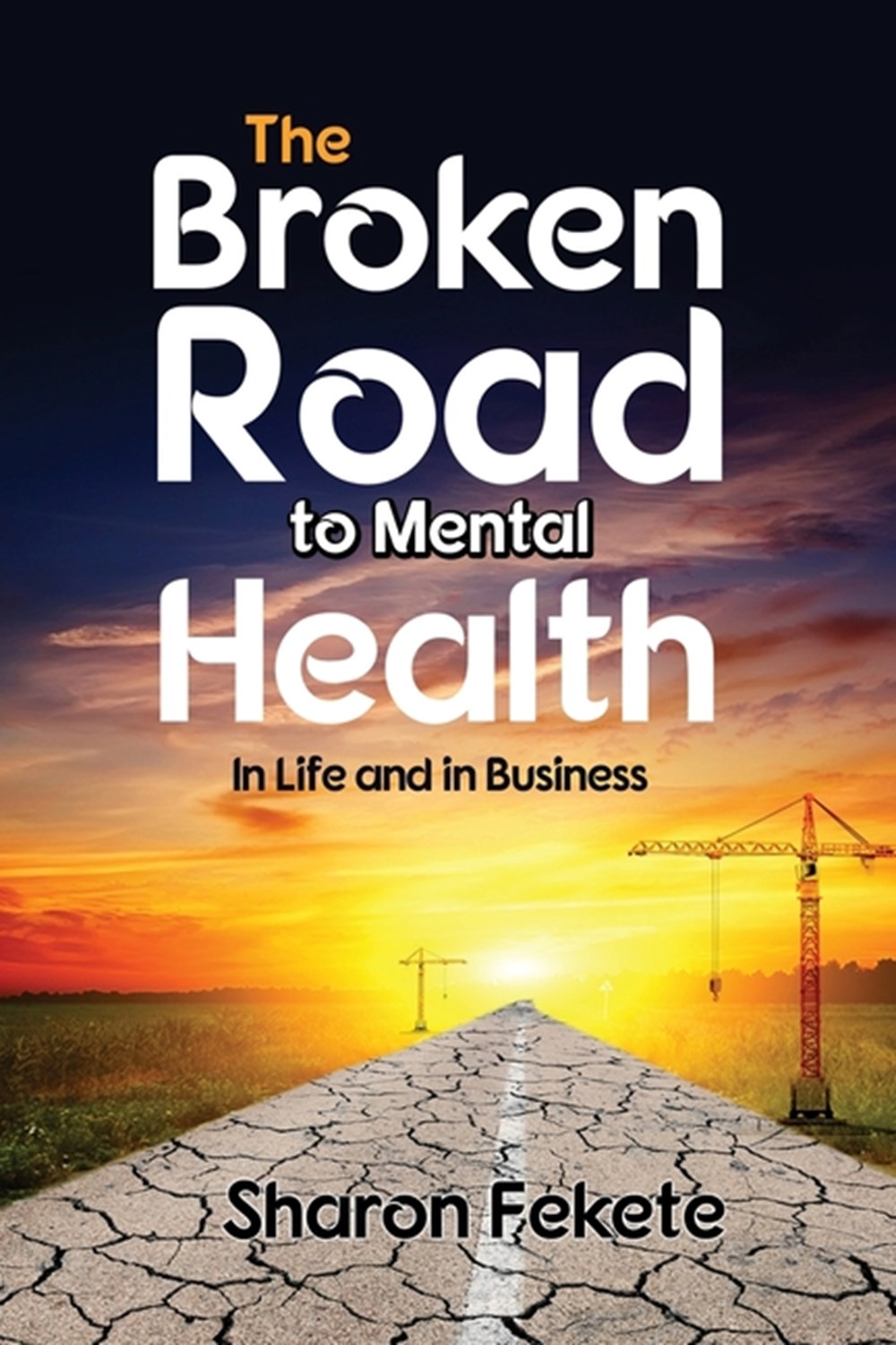 Broken Road to Mental Health In Life and in Business