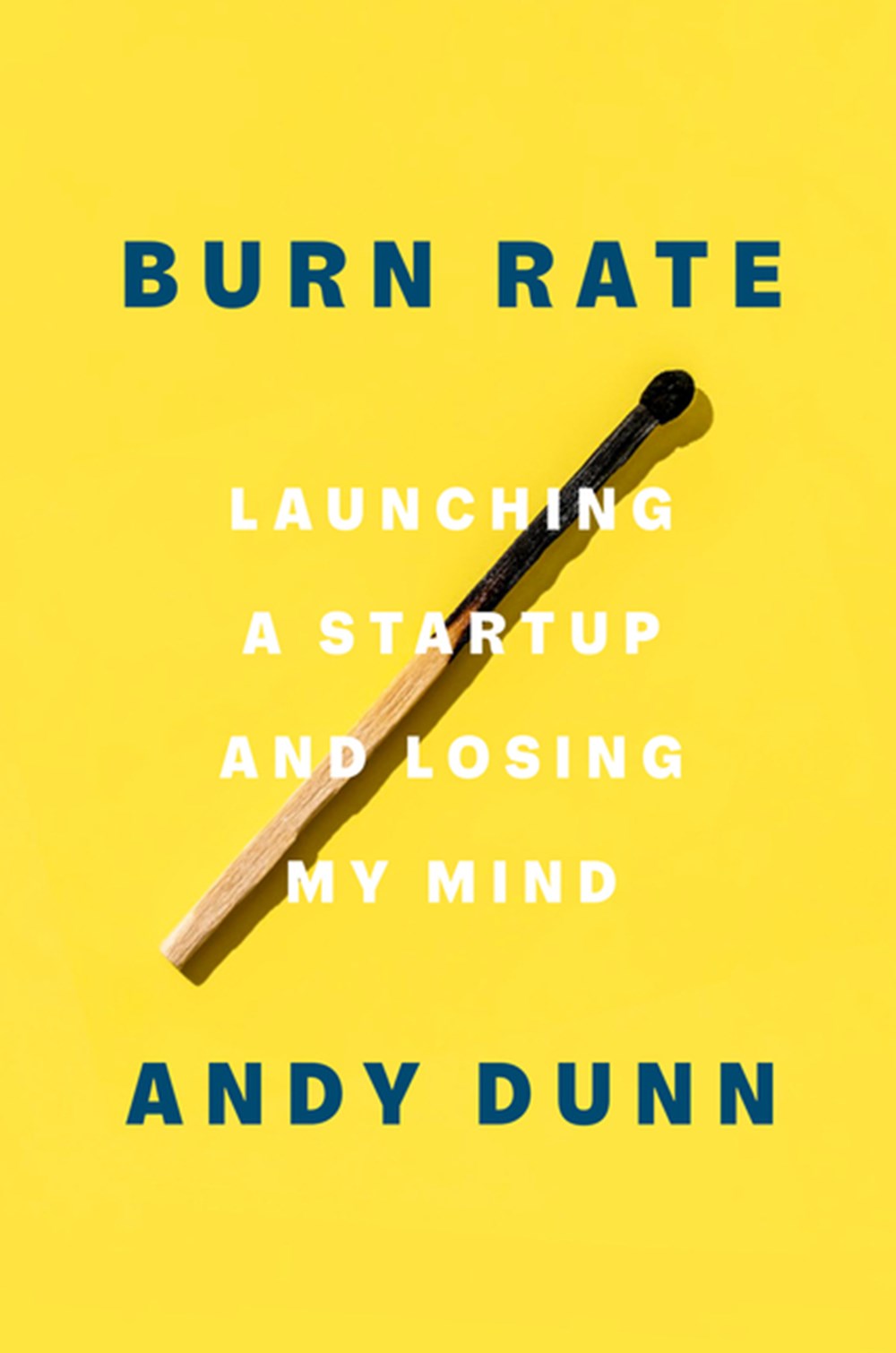 Burn Rate Launching a Startup and Losing My Mind