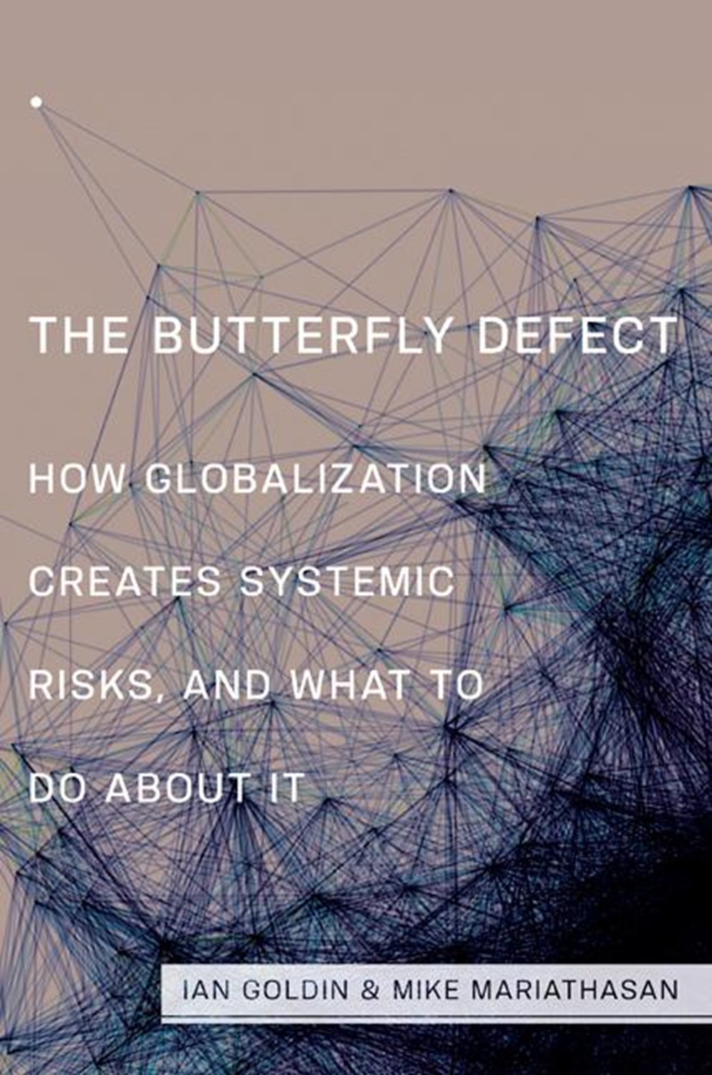 Butterfly Defect: How Globalization Creates Systemic Risks, and What to Do about It