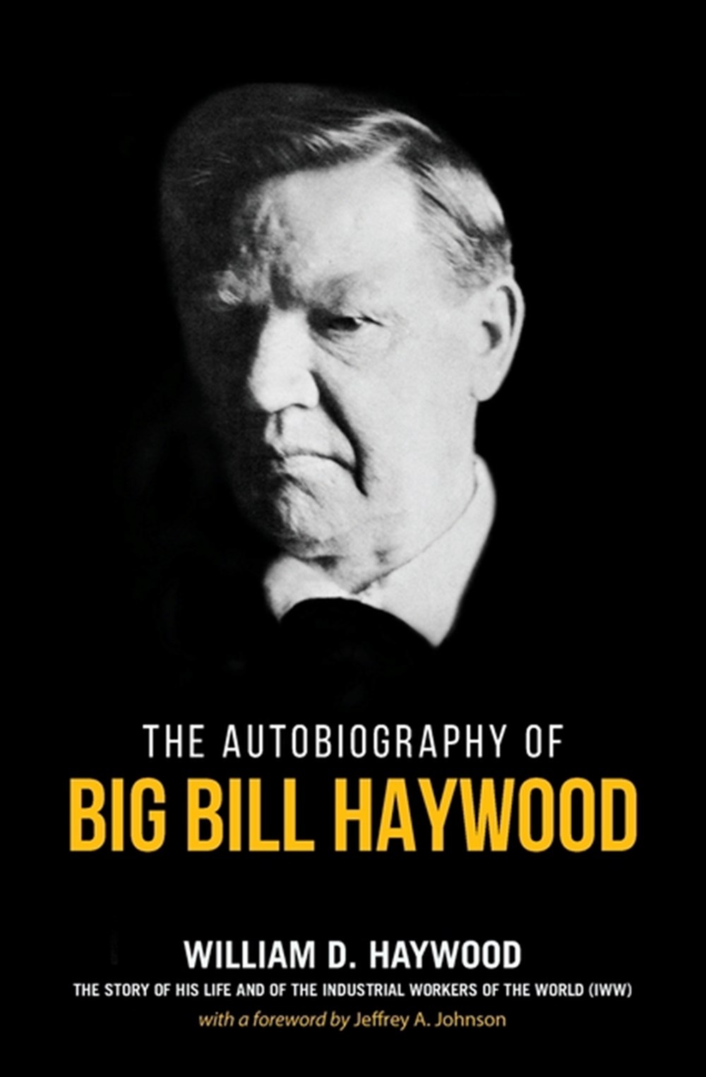 Big Bill Haywood's Book The Autobiography of Big Bill Haywood