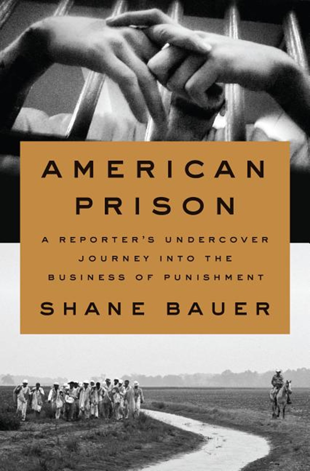American Prison A Reporter's Undercover Journey into the Business of Punishment