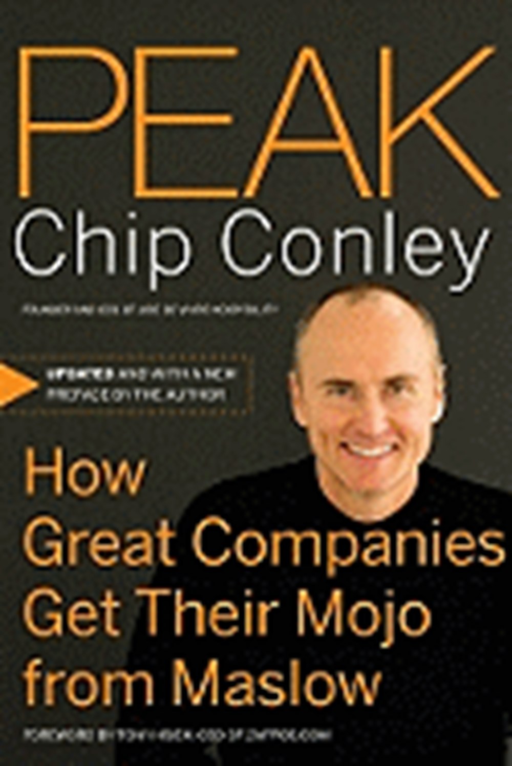 Peak: How Great Companies Get Their Mojo from Maslow (Revised, Updated)