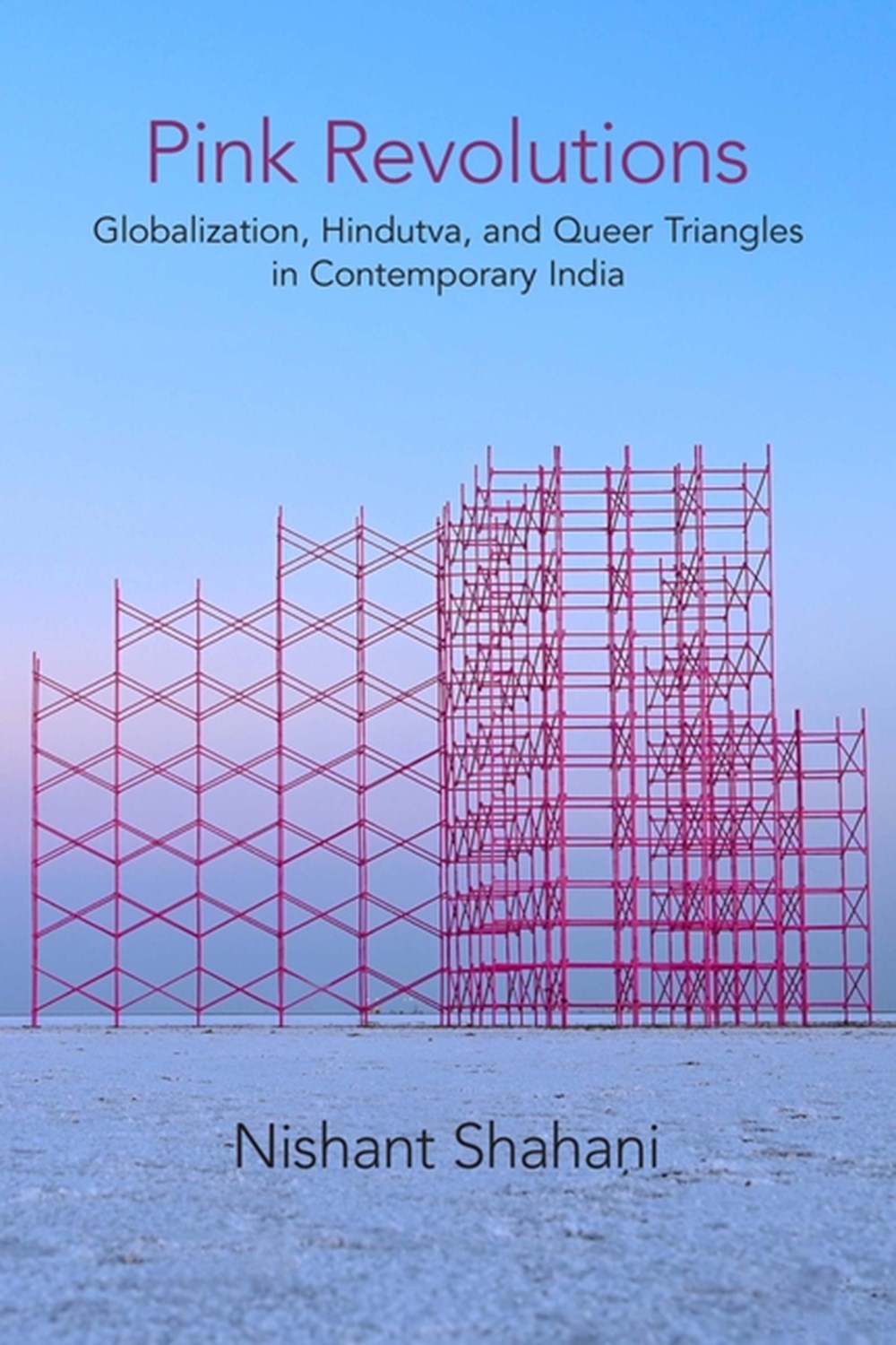 Pink Revolutions: Globalization, Hindutva, and Queer Triangles in Contemporary India