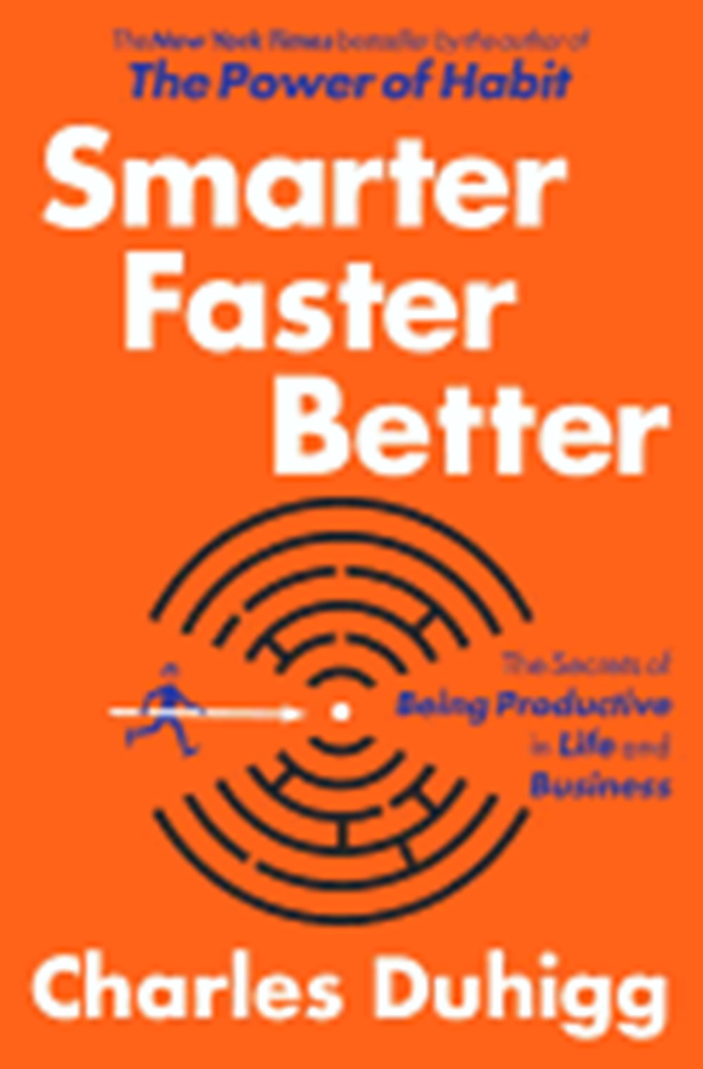 Smarter Faster Better The Secrets of Being Productive in Life and Business