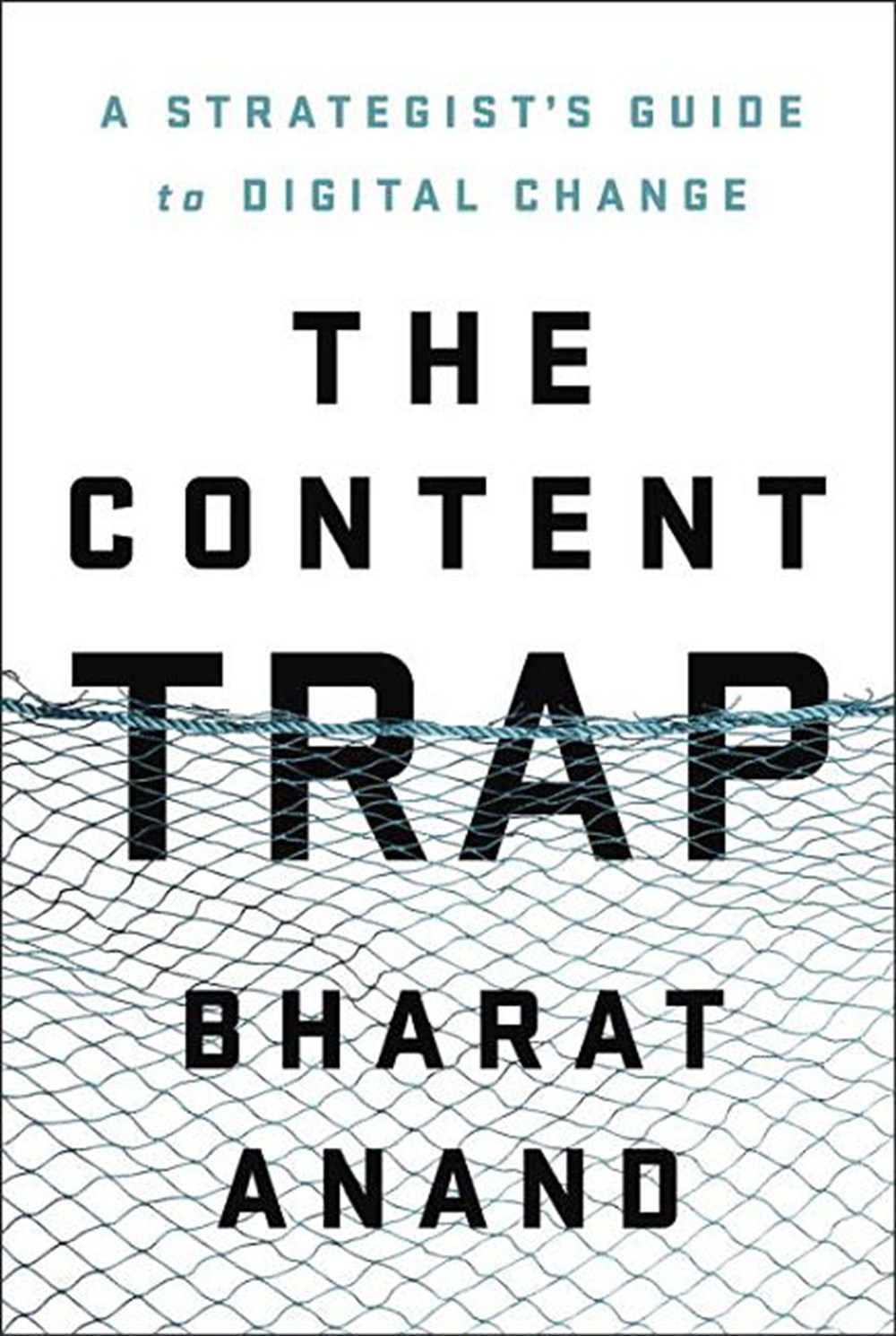 Content Trap A Strategist's Guide to Digital Change