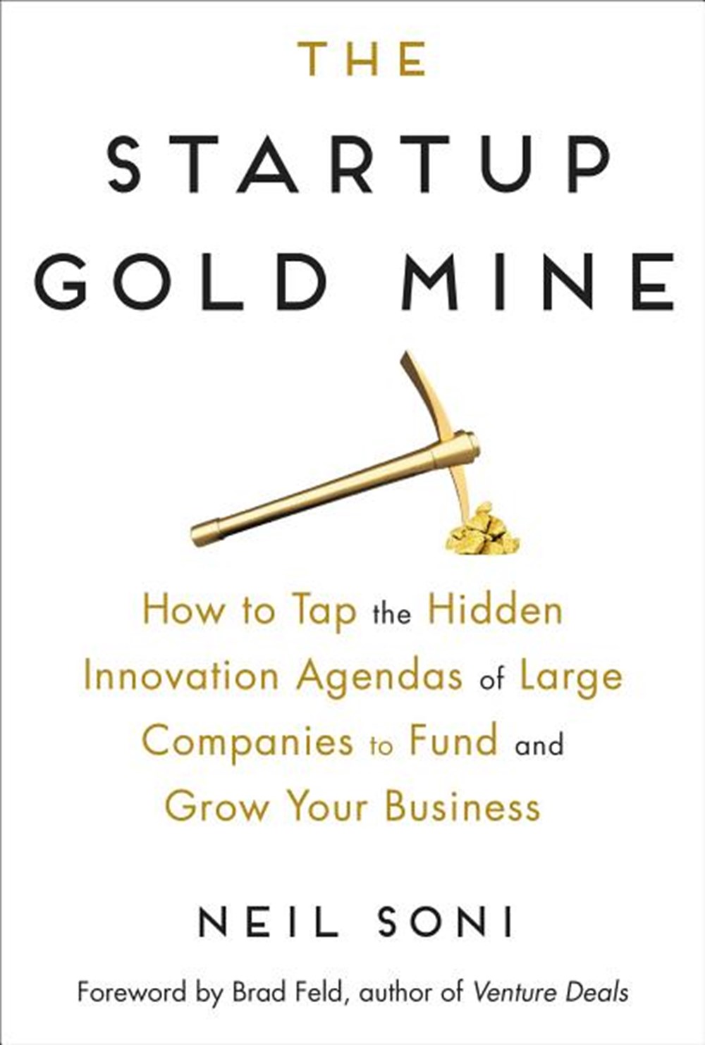 Startup Gold Mine How to Tap the Hidden Innovation Agendas of Large Companies to Fund and Grow Your 