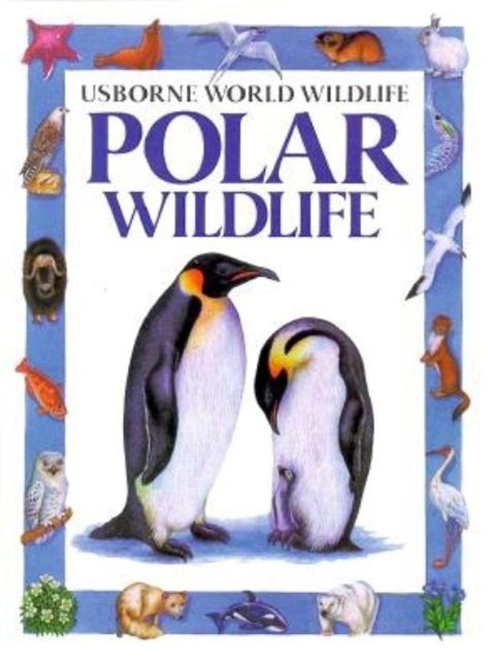 Polar Wildlife (Universal)