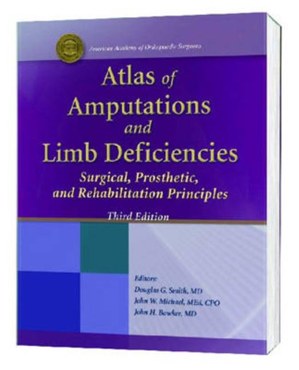 Atlas of Amputations and Limb Deficiencies: Surgical, Prosthetic and Rehabilitation Principles (Revi