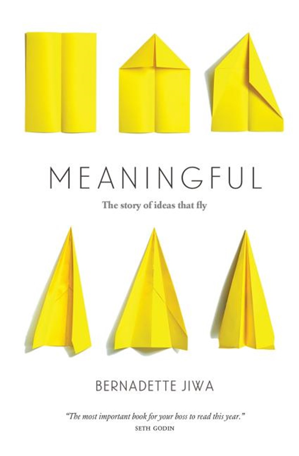 Meaningful The Story of Ideas That Fly