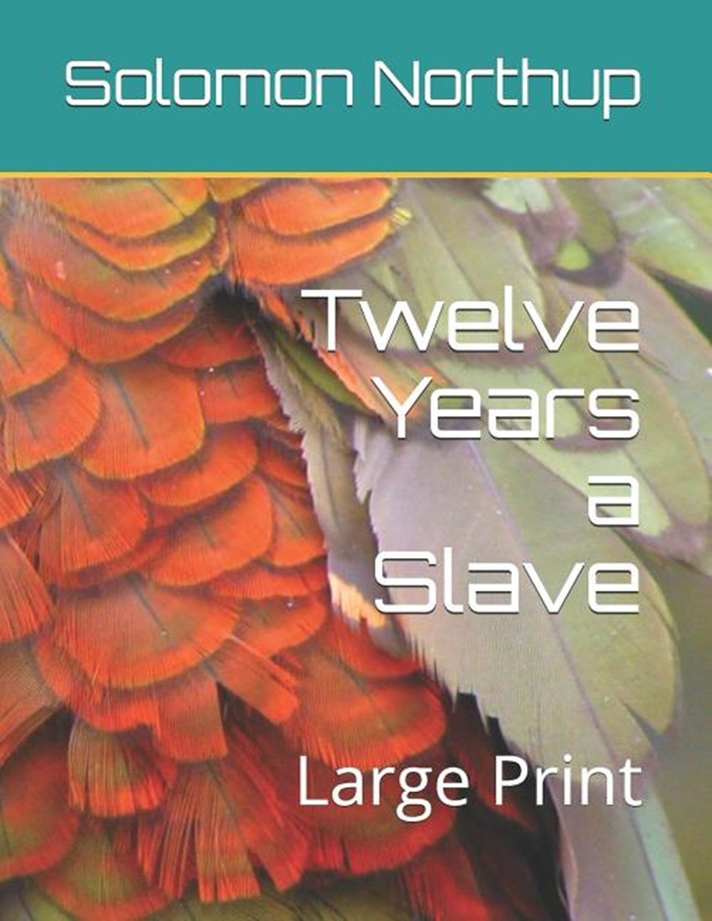 Twelve Years a Slave: Large Print