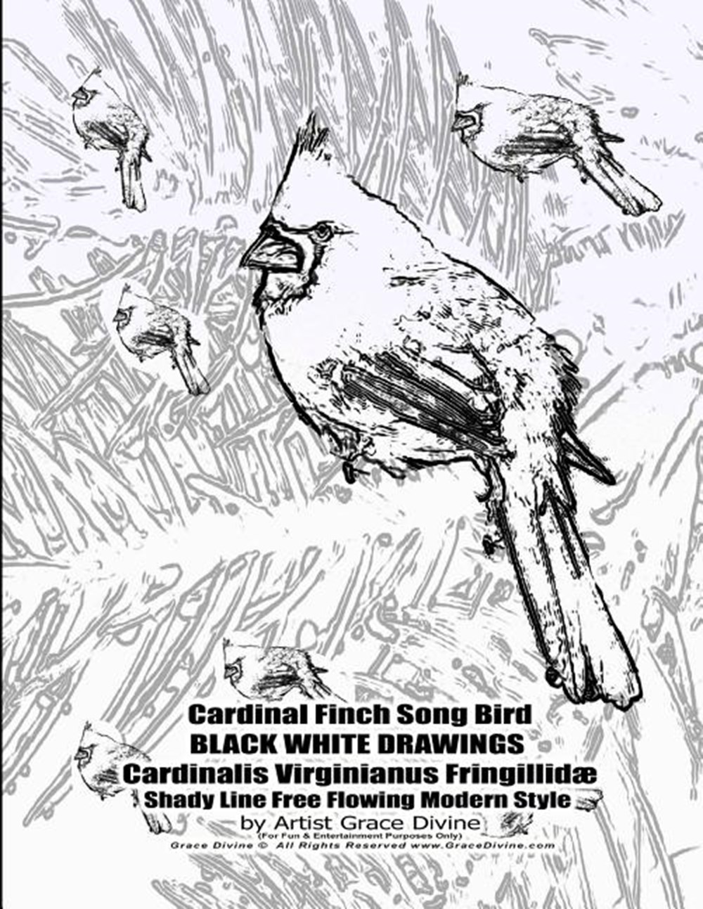 Cardinal Finch Song Bird BLACK WHITE DRAWINGS Cardinalis Virginianus Fringillidæ Shady Line Free Flo