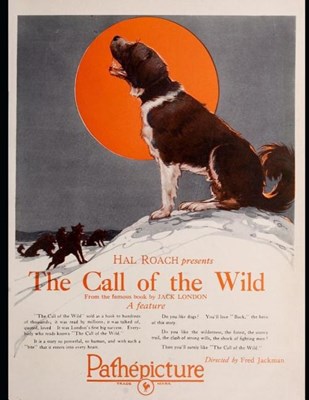 The Call Of Wild: The Evergreen Classic Story (Annotated) By Jack London.