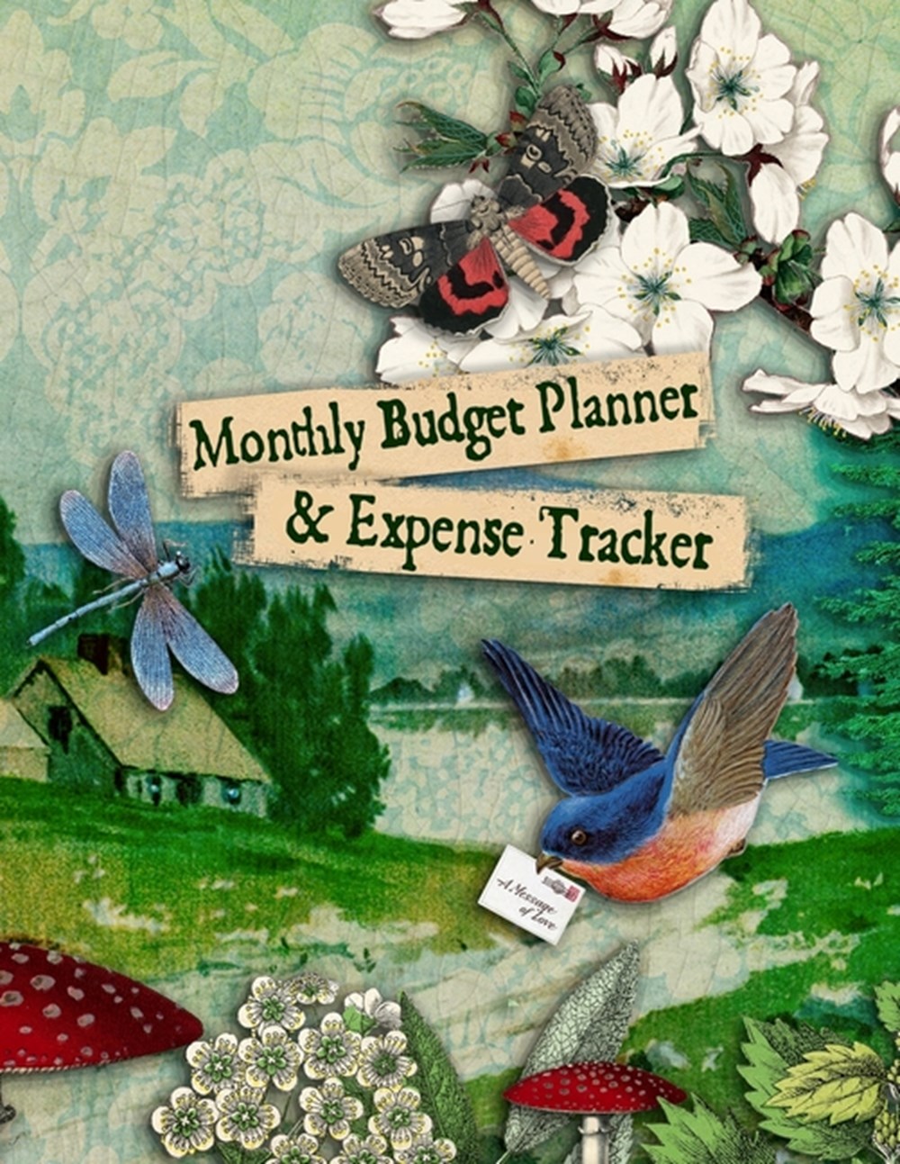 Monthly Budget Planner & Expense Tracker Financial Log Book Organiser, Undated Household Finances, S