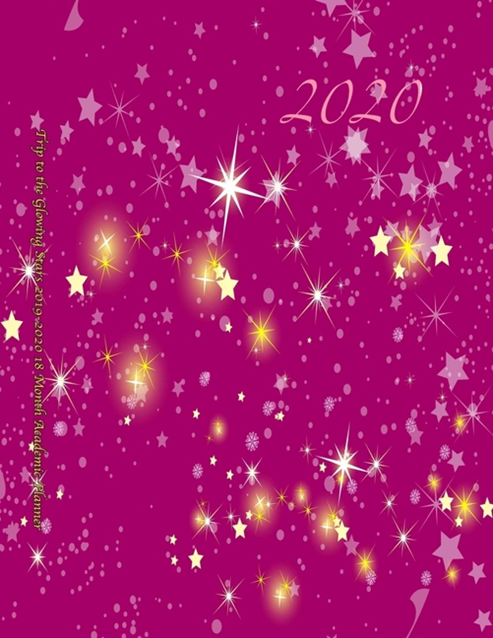 Trip to the Glowing Stars 2019-2020 18 Month Academic Planner July 2019 To December 2020 Calendar Sc