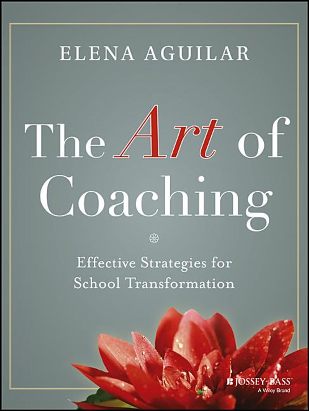 Art of Coaching Effective Strategies for School Transformation