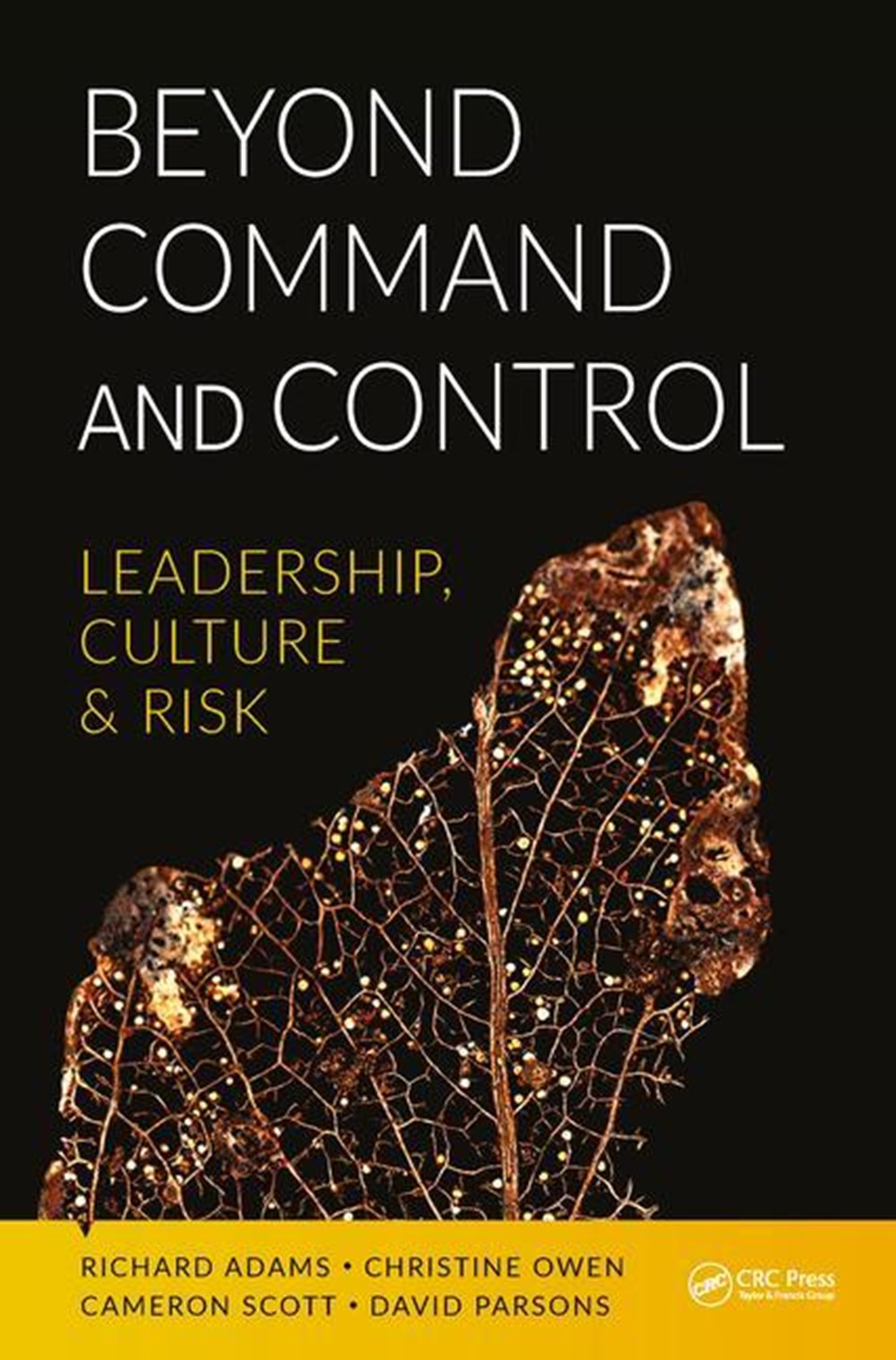 Beyond Command and Control Leadership, Culture and Risk