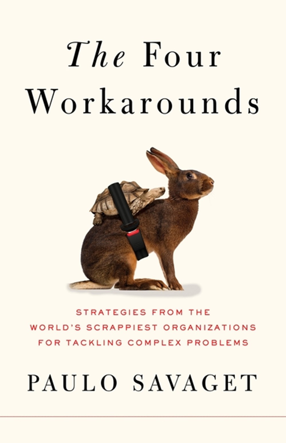 Four Workarounds: Strategies from the World's Scrappiest Organizations for Tackling Complex Problems