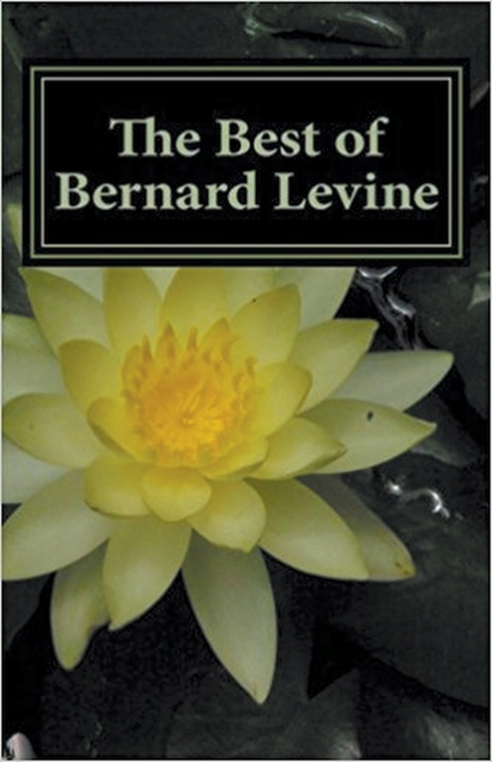 Best of Bernard Levine