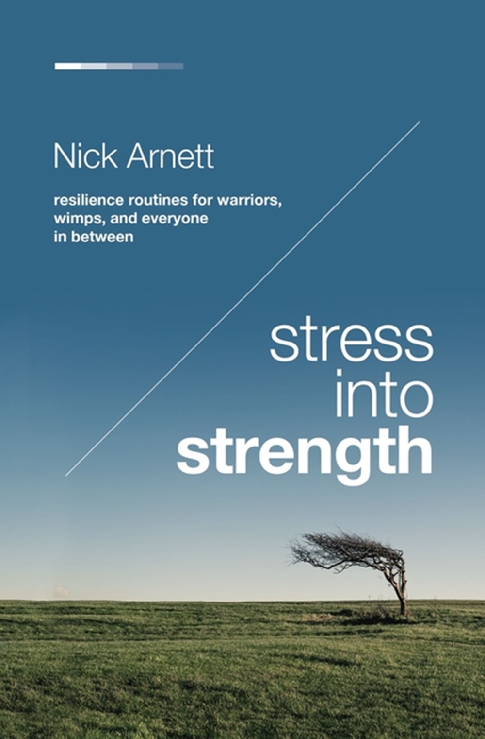 Stress Into Strength Resilience Routines for Warriors, Wimps, and Everyone in Between