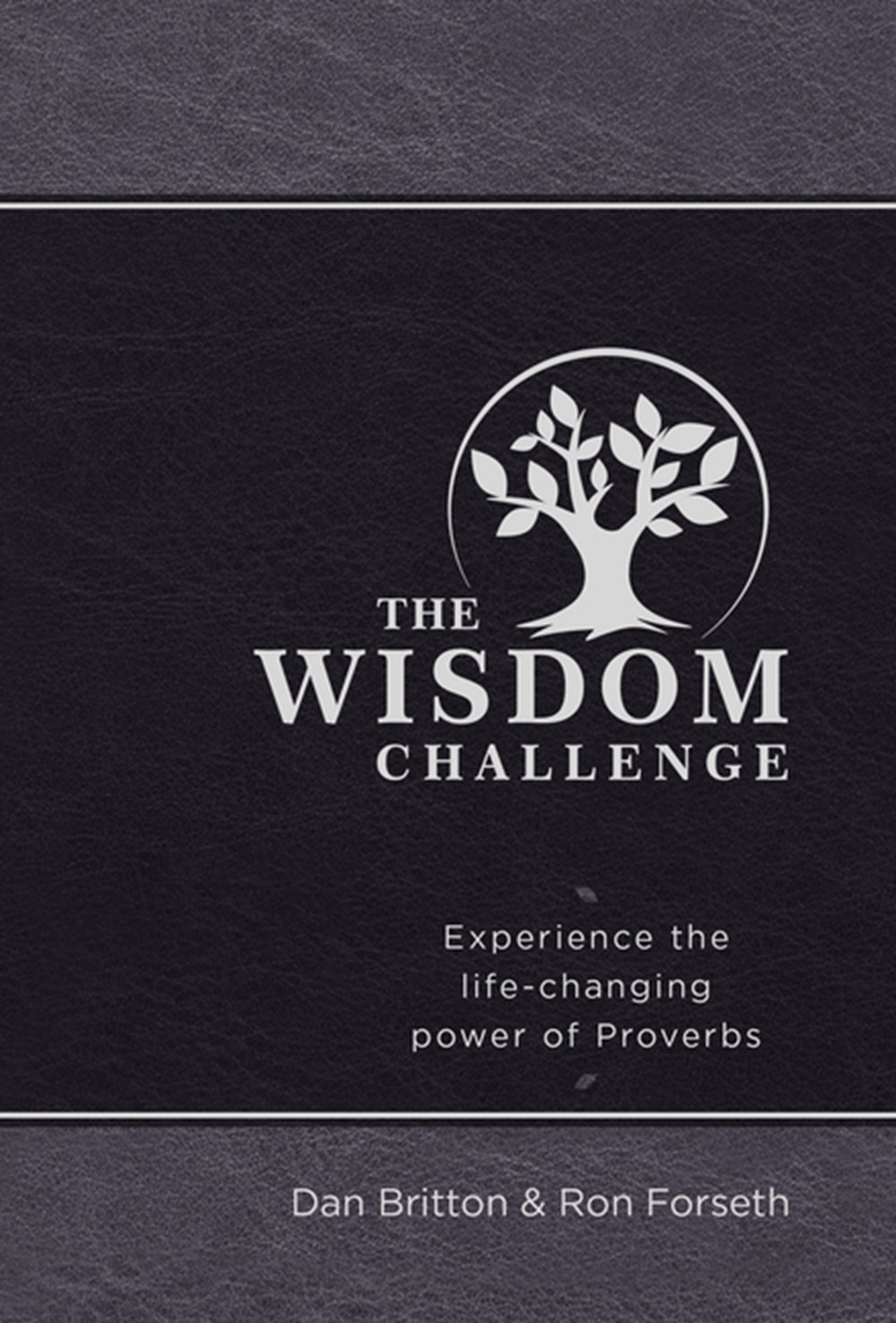 Wisdom Challenge: Experience the Life-Changing Power of Proverbs