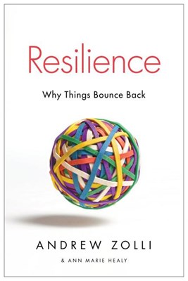 Resilience: Why Things Bounce Back