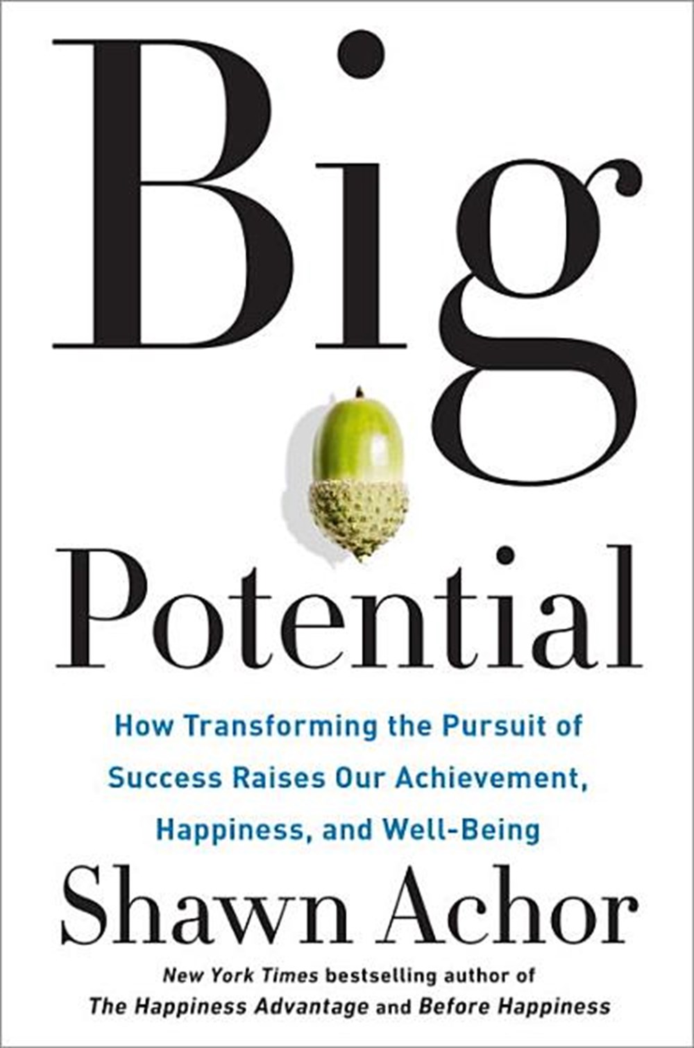 Big Potential How Transforming the Pursuit of Success Raises Our Achievement, Happiness, and Well-Be