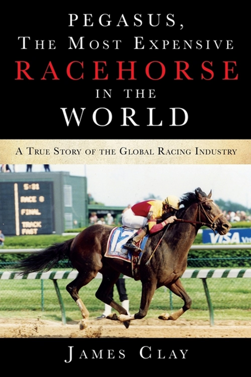 Pegasus, The Most Expensive Racehorse in the World: A True Story of the Global Racing Industry