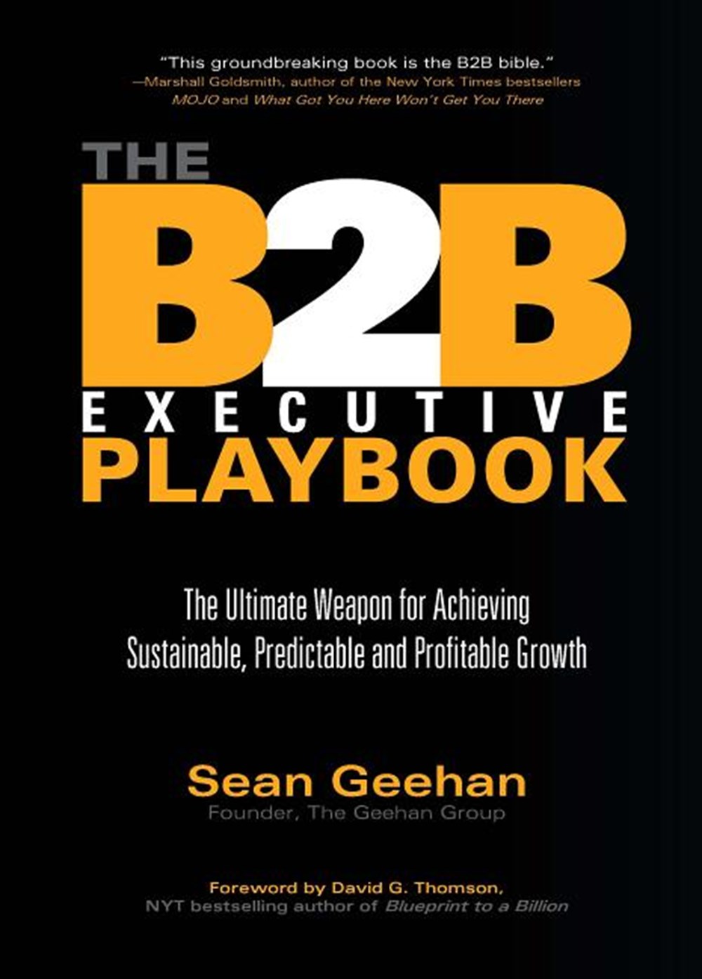 B2B Executive Playbook The Ultimate Weapon for Achieving Sustainable, Predictable & Profitable Growt