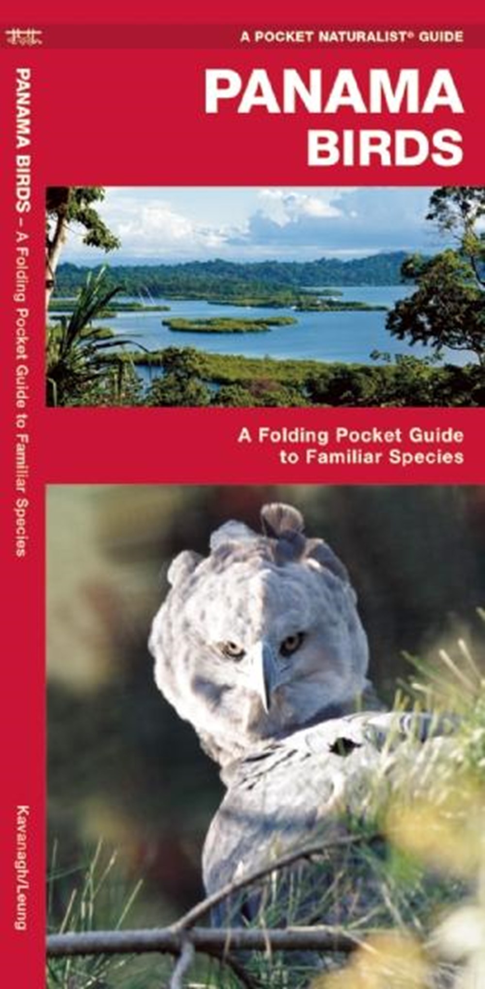 Panama Birds: A Folding Pocket Guide to Familiar Species
