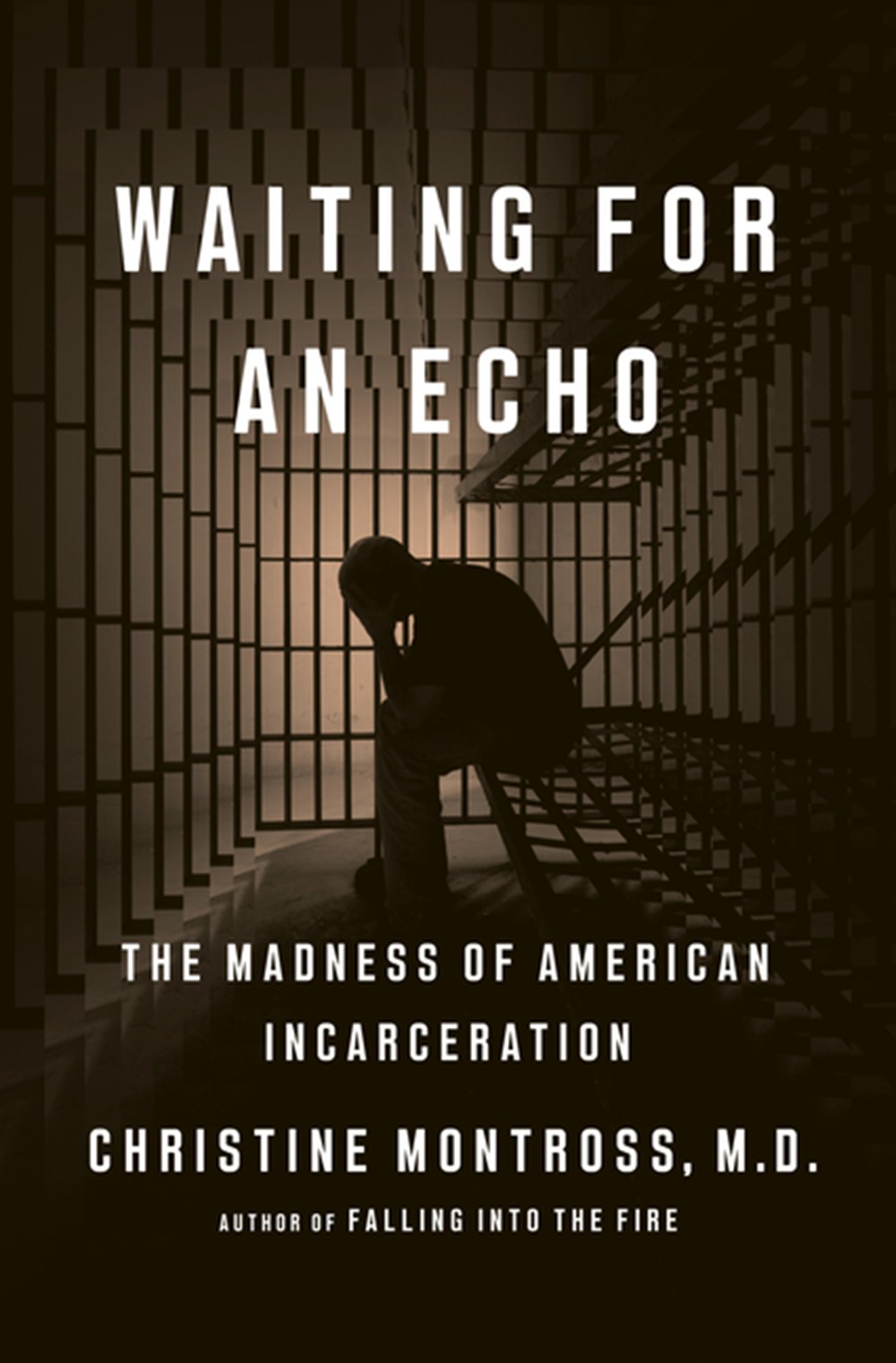 Waiting for an Echo The Madness of American Incarceration