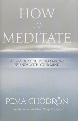  How to Meditate: A Practical Guide to Making Friends with Your Mind