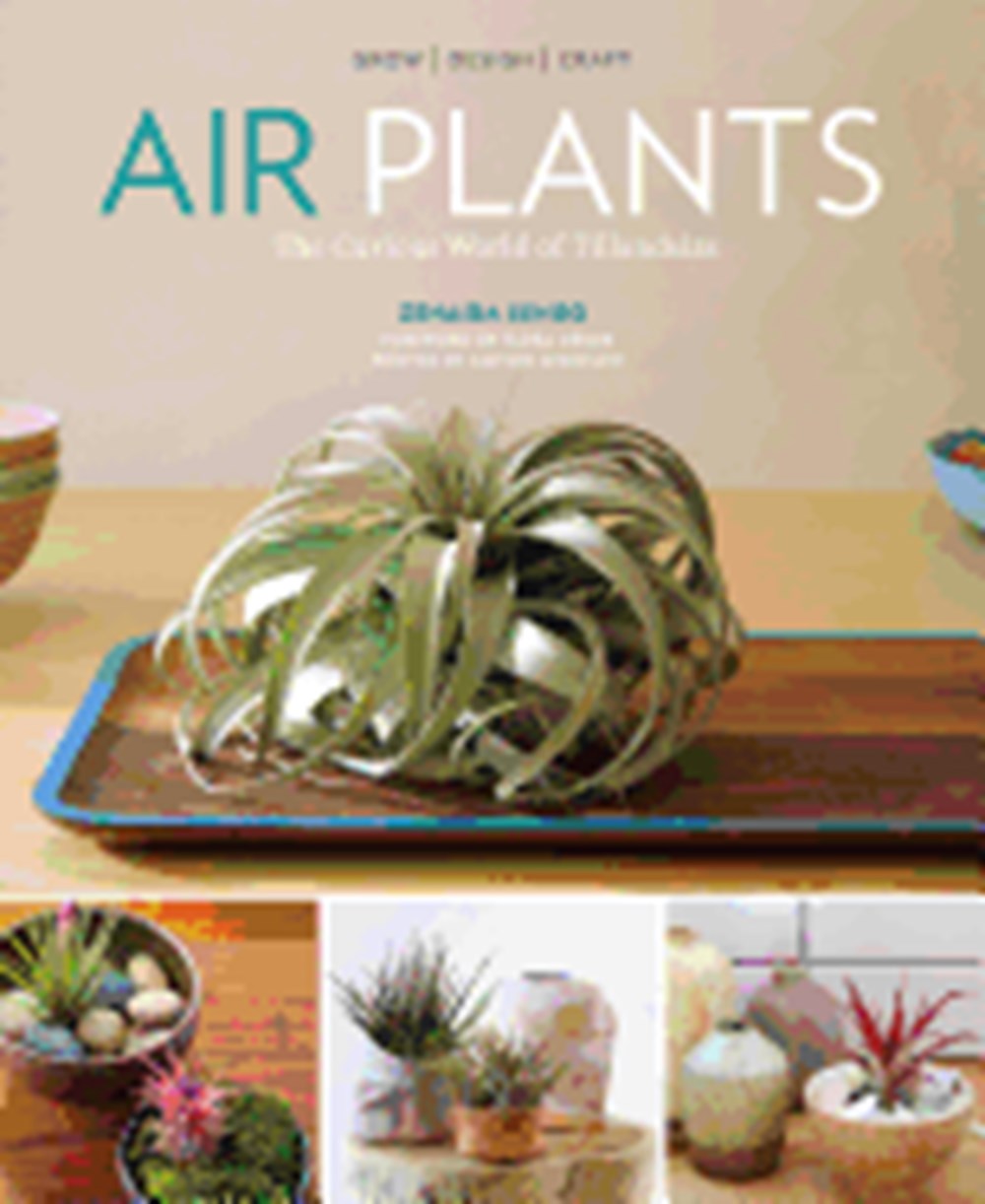 Air Plants: The Curious World of Tillandsias