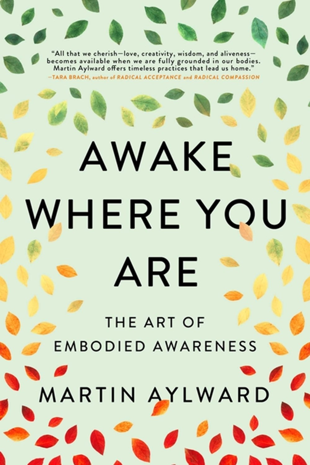 Awake Where You Are The Art of Embodied Awareness