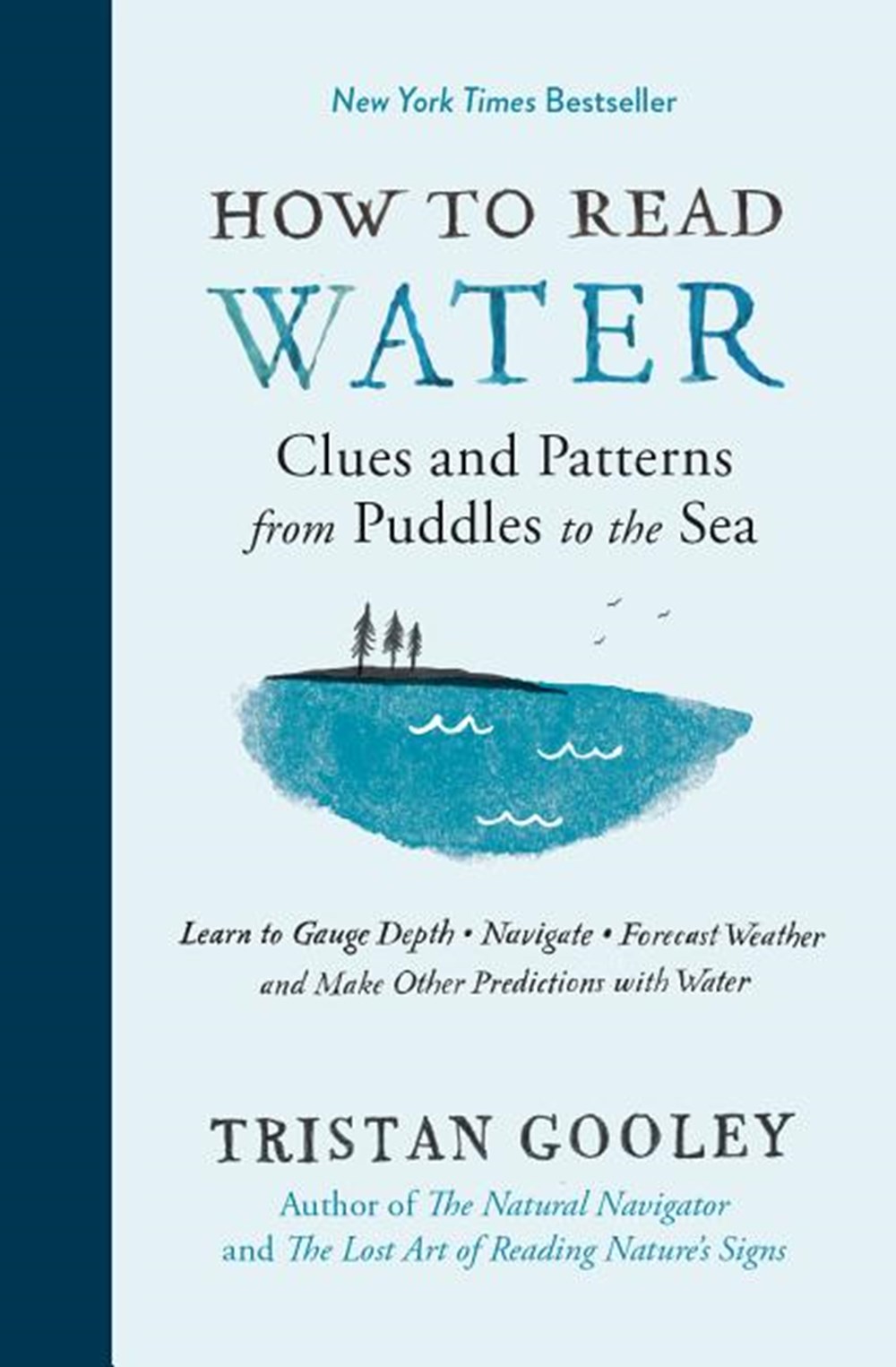 How to Read Water Clues and Patterns from Puddles to the Sea