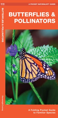  Butterflies & Pollinators: A Folding Pocket Guide to Familiar Species