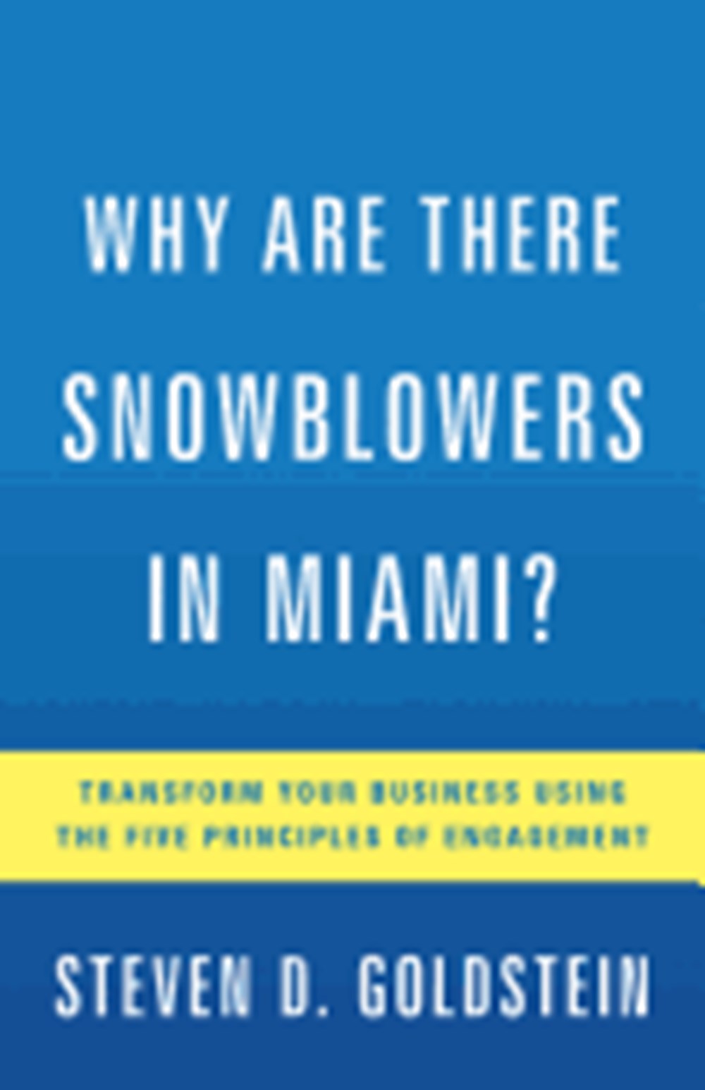 Why Are There Snowblowers in Miami? Transform Your Business Using the Five Principles of Engagement
