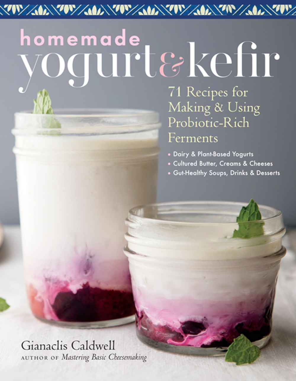 Homemade Yogurt & Kefir 71 Recipes for Making & Using Probiotic-Rich Ferments
