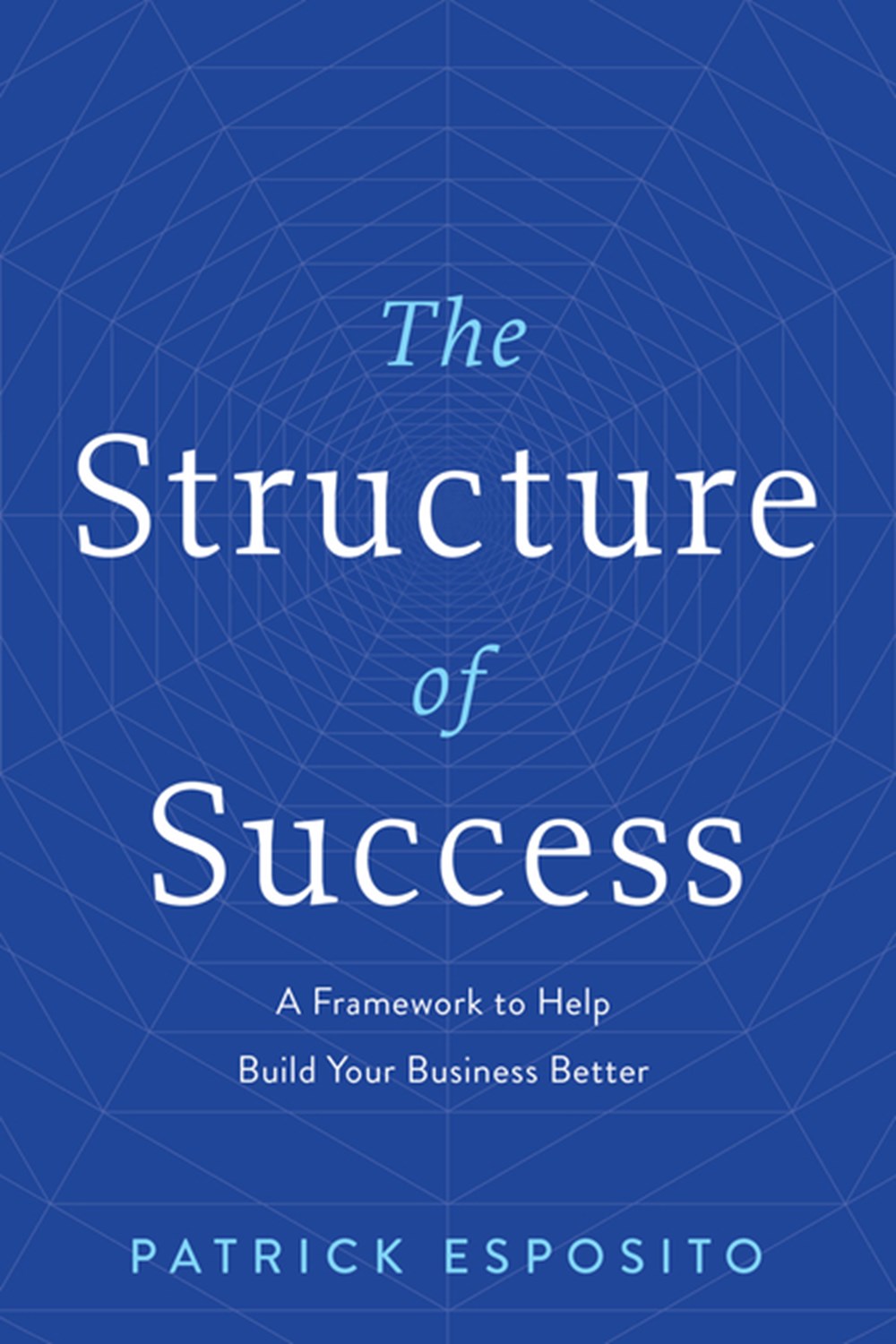 Structure of Success: A Framework to Help Build Your Business Better