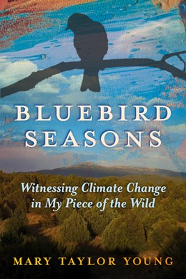  Bluebird Seasons: Witnessing Climate Change in My Piece of the Wild