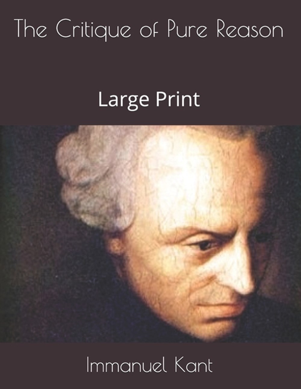 Critique of Pure Reason Large Print