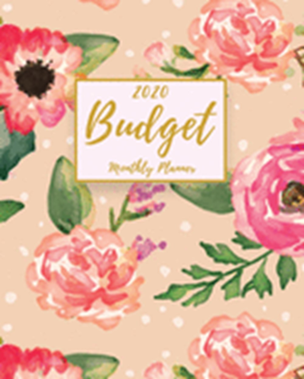 Monthly Budget Planner Bill Organizer Planner and Budget Book 12 Month Financial Planner and Expense