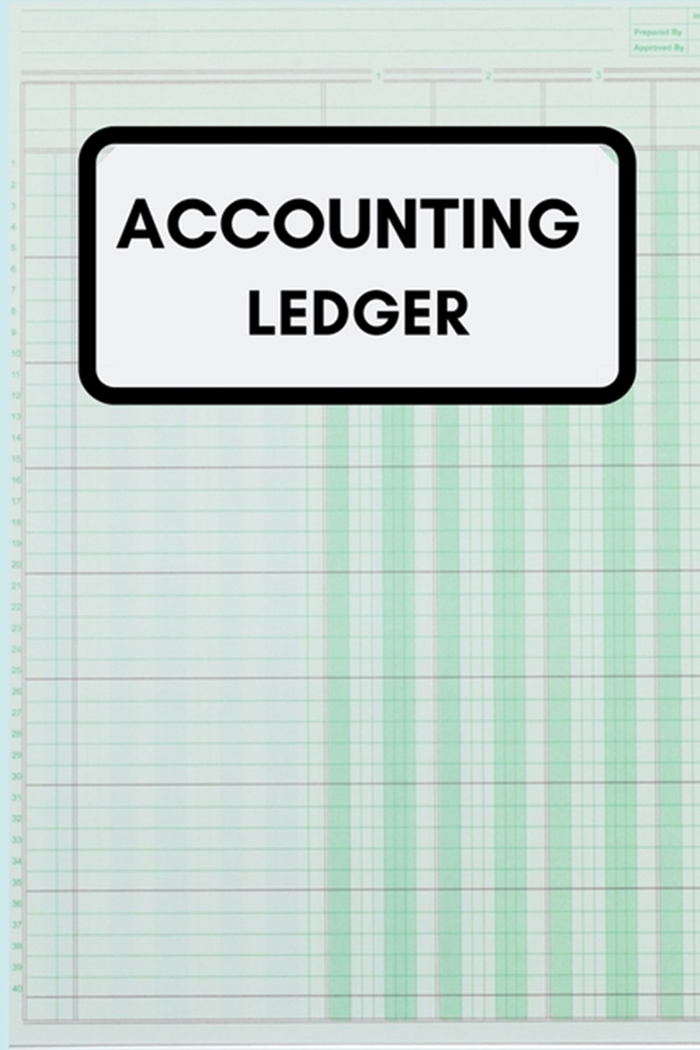 Accounting Ledger Simple Balance sheet or Cash Book Accounts Bookkeeping Journal for Small and big B