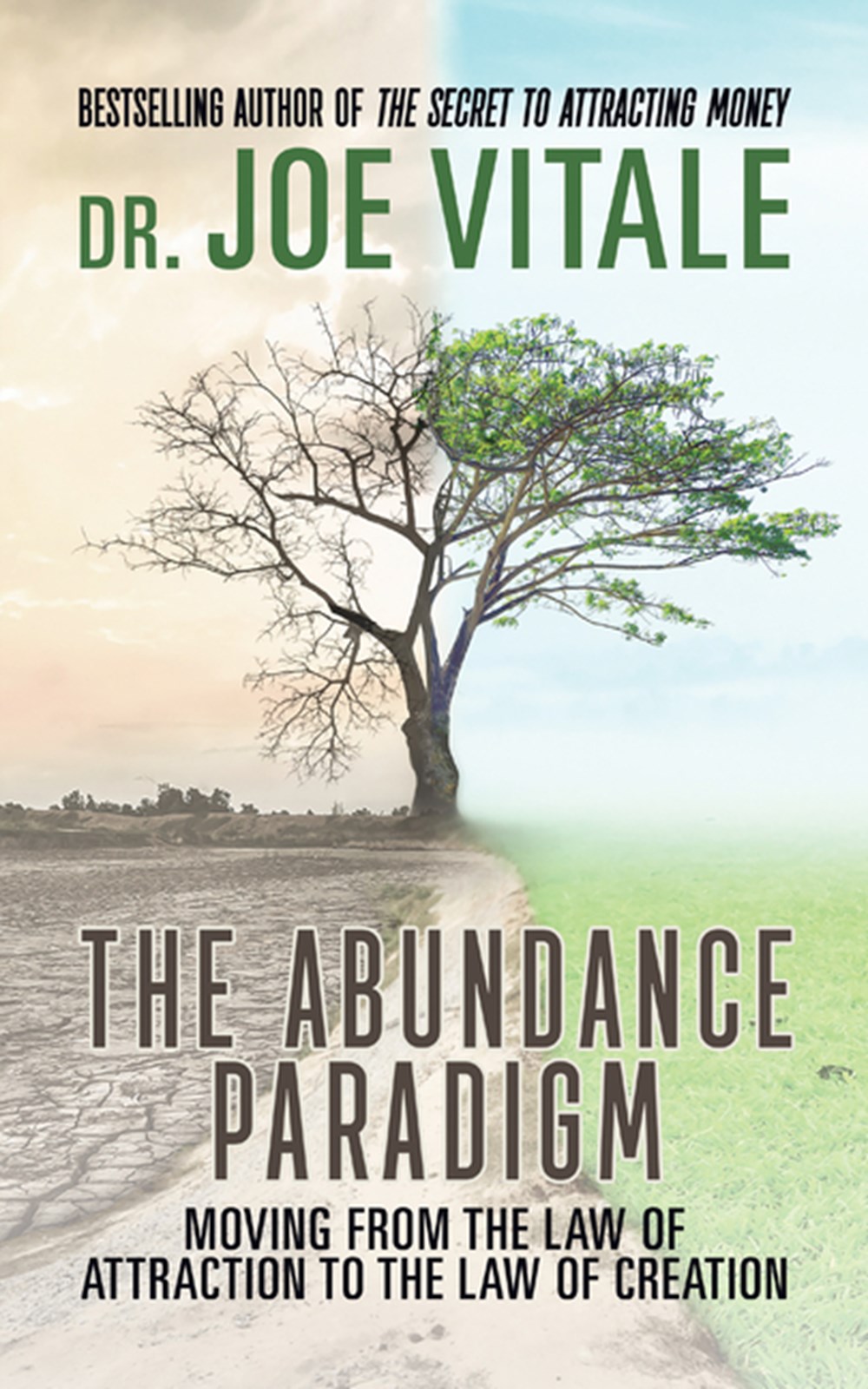 Abundance Paradigm: Moving From The Law of Attraction to The Law of Creation
