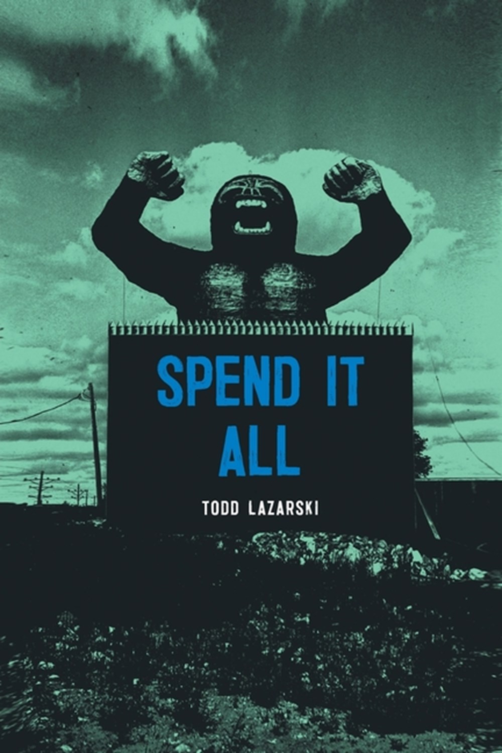 Spend it All