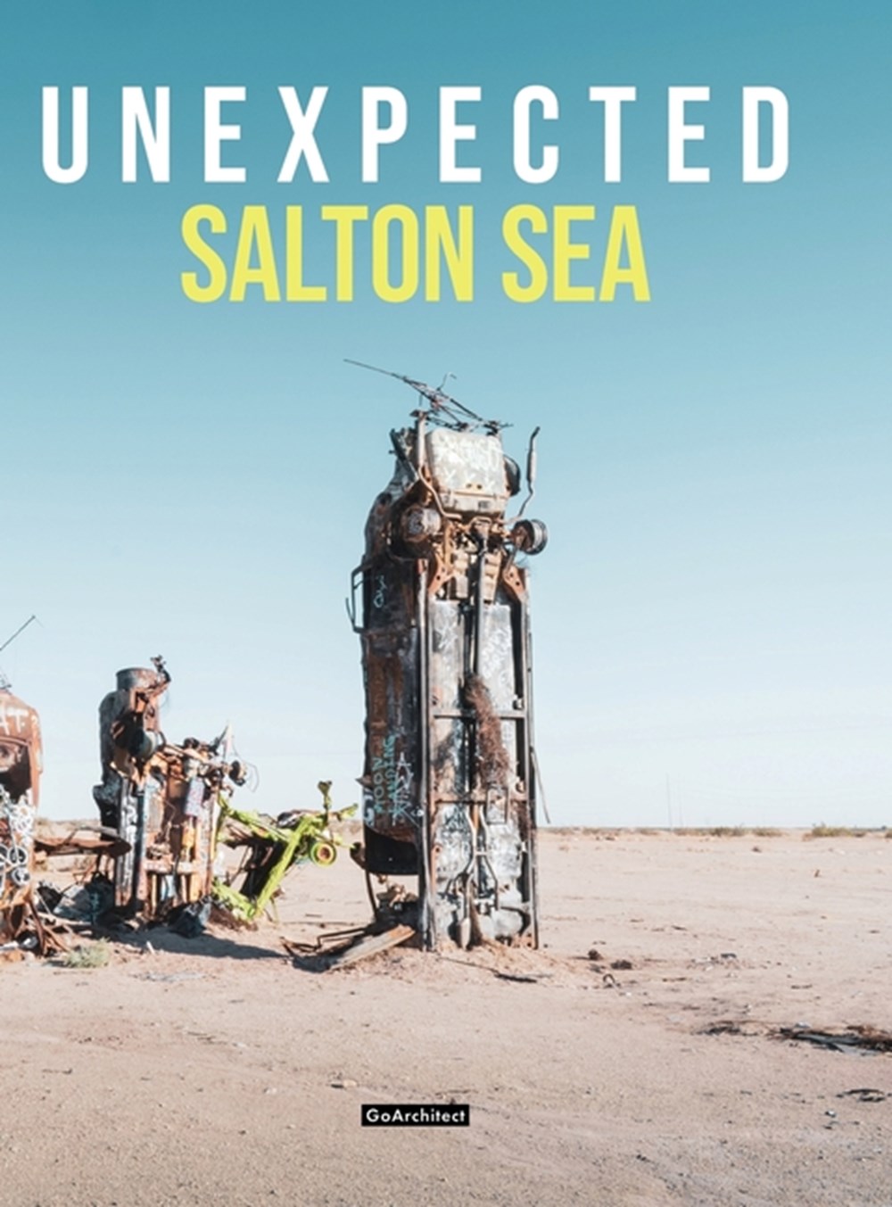 Unexpected: Salton Sea