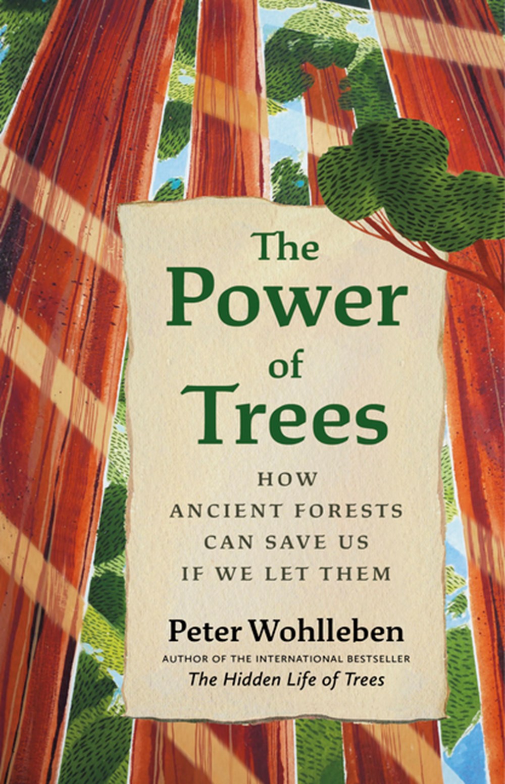 Power of Trees: How Ancient Forests Can Save Us If We Let Them