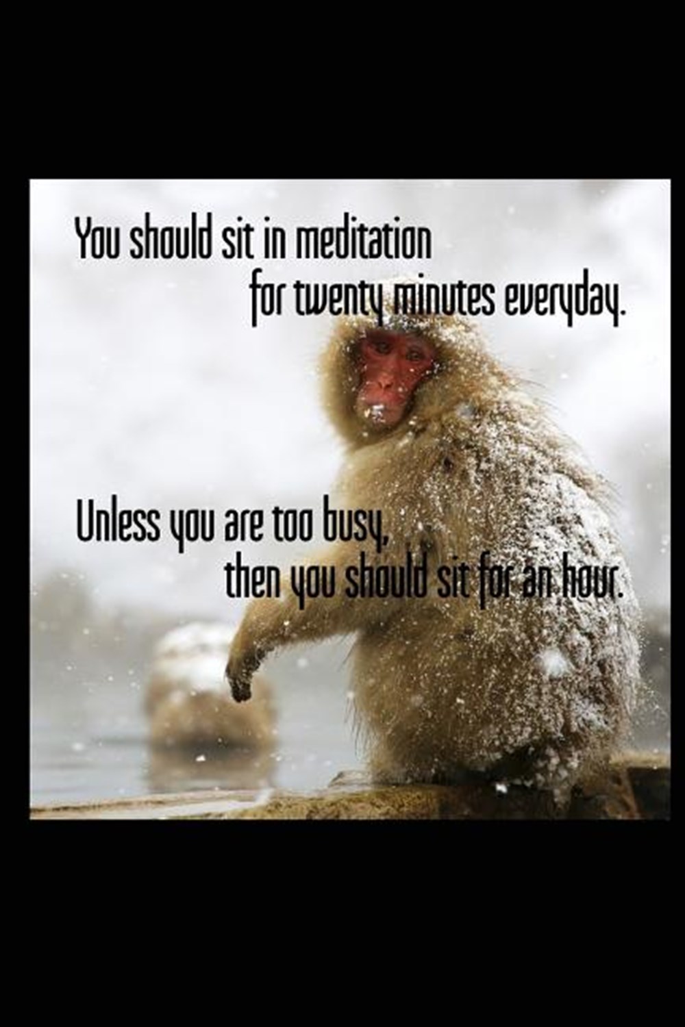You Should Sit in Meditation for Twenty Minutes Everyday. Unless You Are Too Busy, Then You Should S
