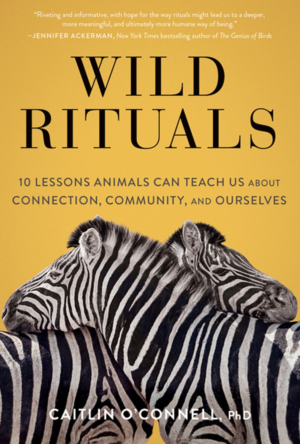 Wild Rituals 10 Lessons Animals Can Teach Us about Connection, Community, and Ourselves