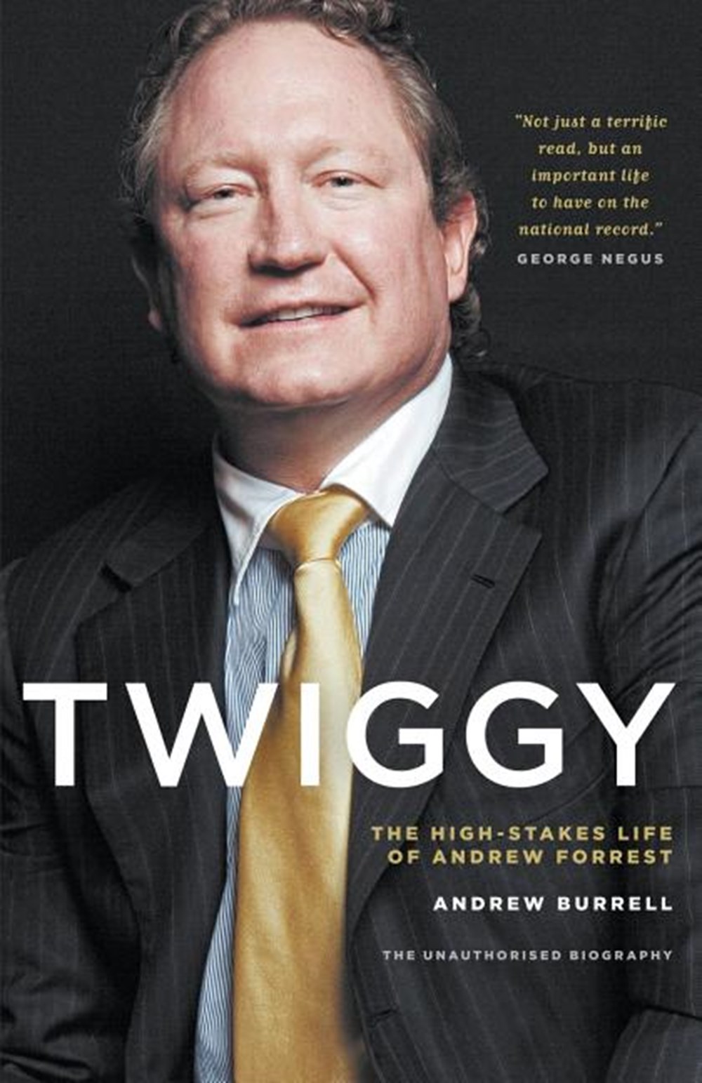 Twiggy The High-Stakes Life of Andrew Forrest