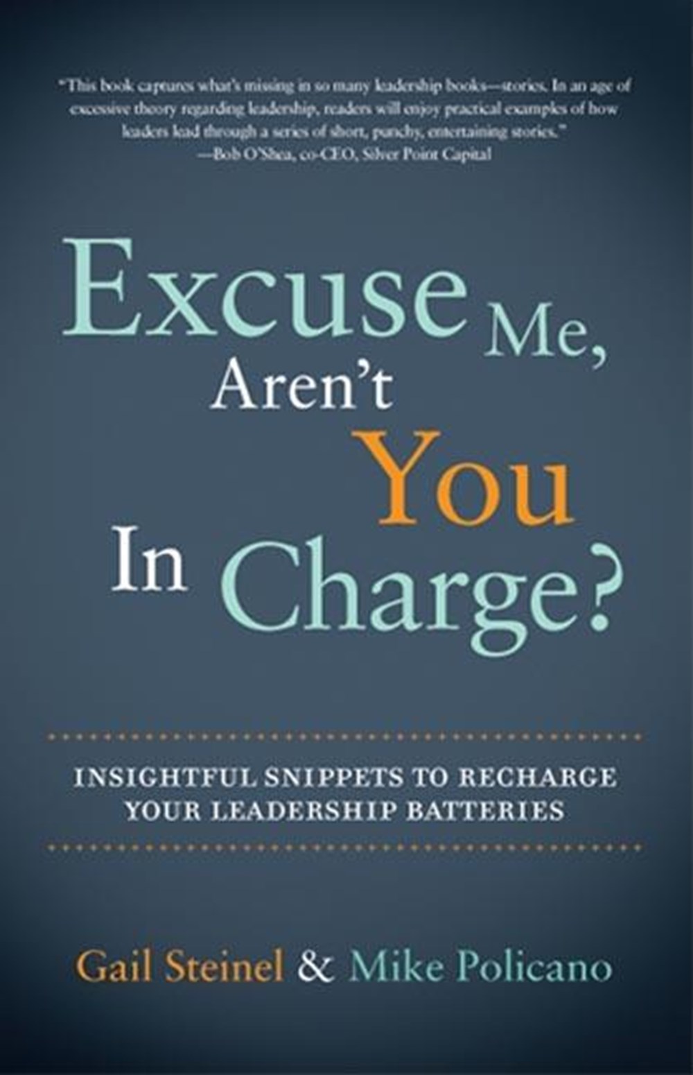 Excuse Me, Aren't You in Charge?: Insightful Snippets to Recharge Your Leadership Batteries
